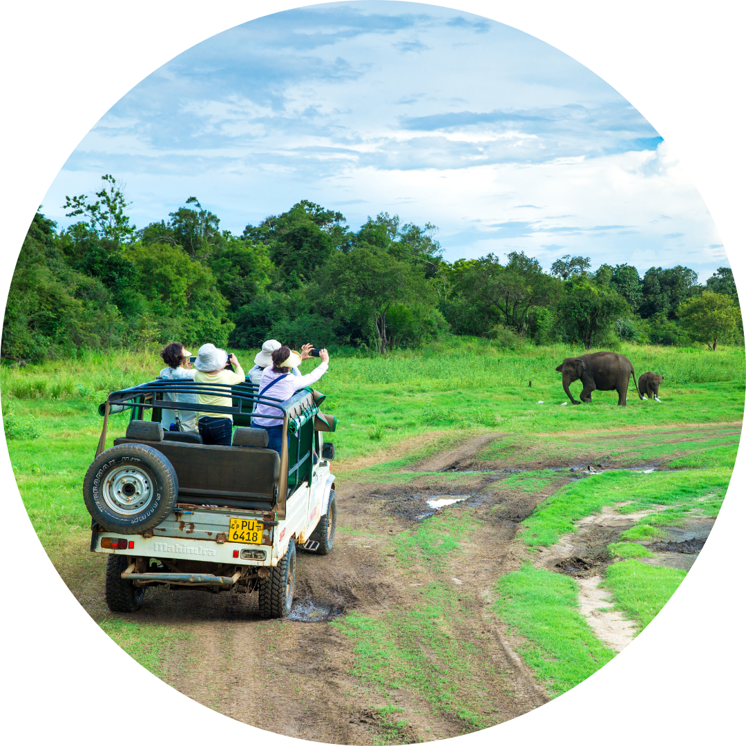 HERI Travel and Events safari tour
