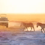 HERI Travel and Events