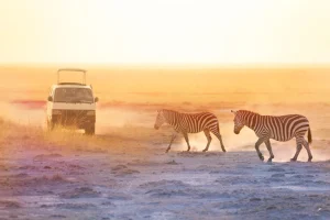 HERI Travel and Events